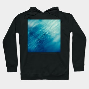 Frost 4 Hoodie